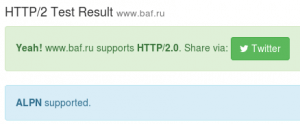 Результат тестирования поддержки сайтом протокола HTTP/2
